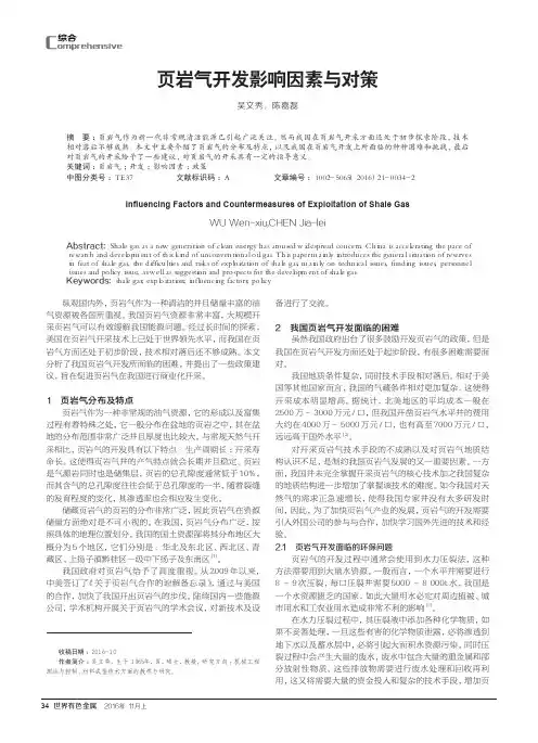 页岩气开发影响因素与对策