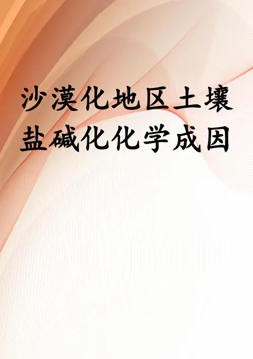 沙漠化地区土壤盐碱化化学成因