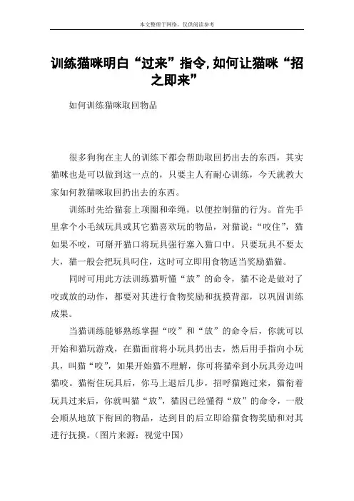 训练猫咪明白“过来”指令,如何让猫咪“招之即来”