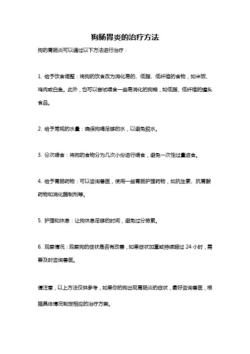 狗肠胃炎的治疗方法