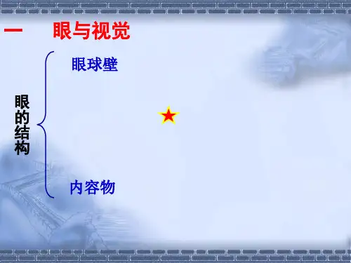 七年级生物感受器和感觉器官-课件