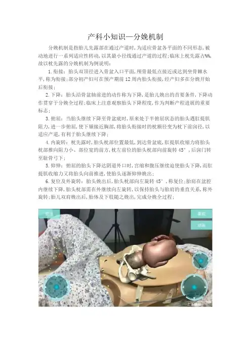 产科小知识分娩机制