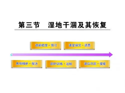 高中地理4.3 湿地干涸及其恢复 名师公开课市级获奖课件(人教版选修6)