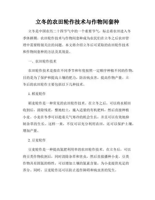 立冬的农田轮作技术与作物间套种
