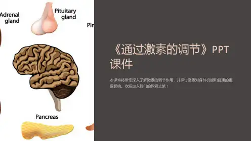 《通过激素的调节》课件