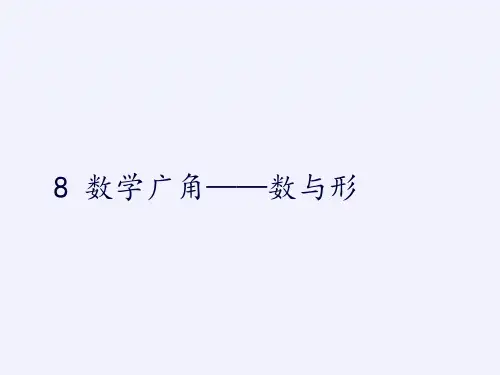 人教版《数学广角数与形》完美版课件3(共21张PPT)