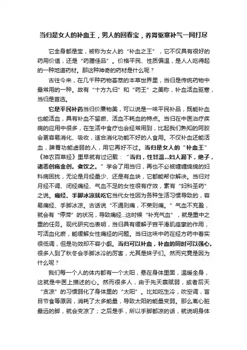 当归是女人的补血王，男人的回春宝，养胃驱寒补气一网打尽