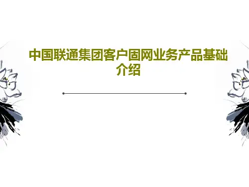 中国联通集团客户固网业务产品基础介绍19页PPT