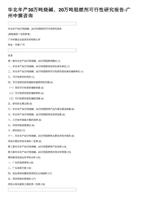 华北年产30万吨烧碱、20万吨阻燃剂可行性研究报告-广州中撰咨询