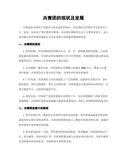 共青团的现状及发展