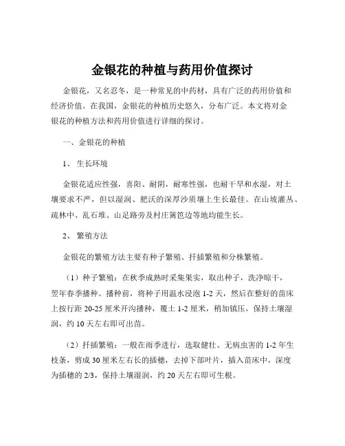 金银花的种植与药用价值探讨