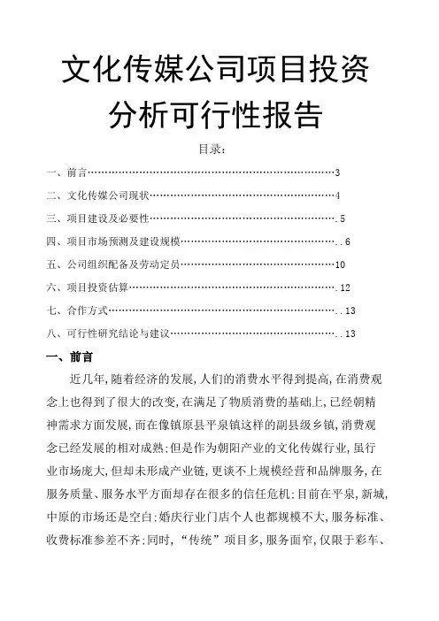 文化传媒公司项目投资分析可行性报告