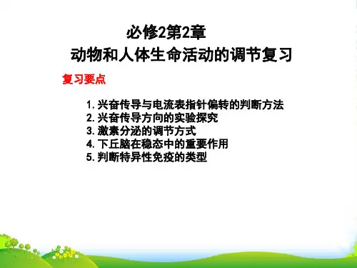 人教版高中生物必修3 第2章动物和人体生命活动的调节复习 课件 (共12张PPT)