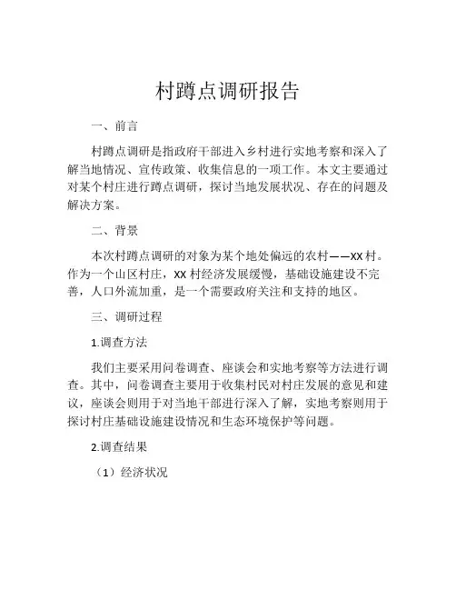 村蹲点调研报告