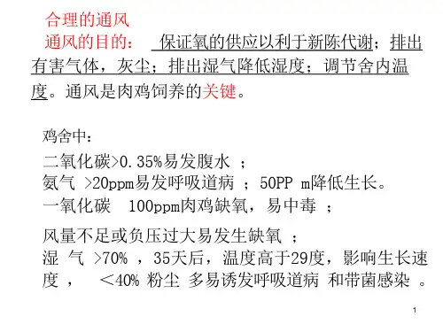 现代化肉鸡养殖技术通风篇ppt课件