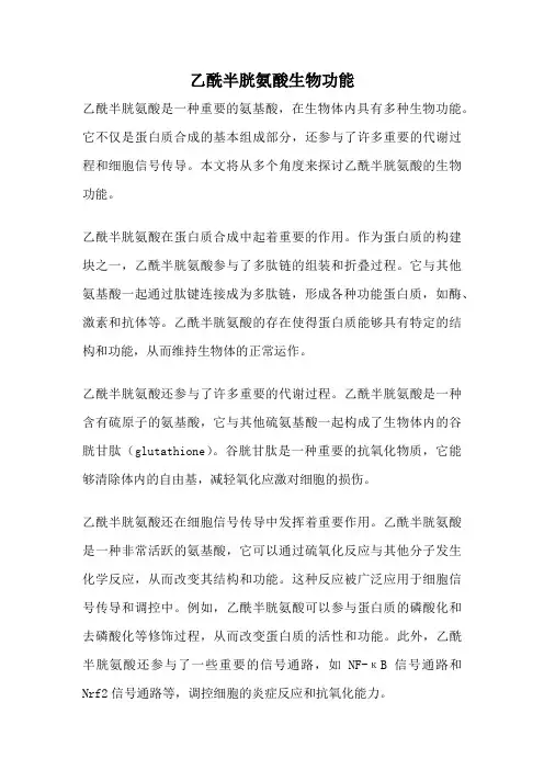 乙酰半胱氨酸生物功能