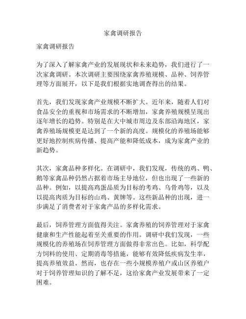 家禽调研报告