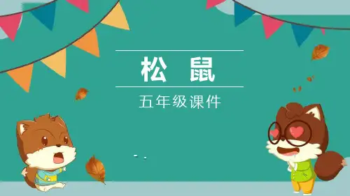 《松鼠》PPT优秀课件