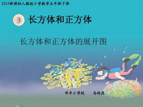 长方体和正方体的展开图课件