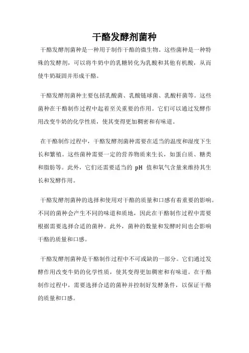 干酪发酵剂菌种