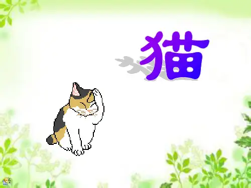 四年级上册语文《猫》 (共13张PPT)