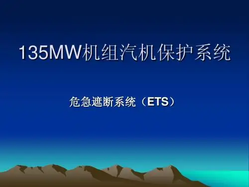 危急遮断系统(ETS)
