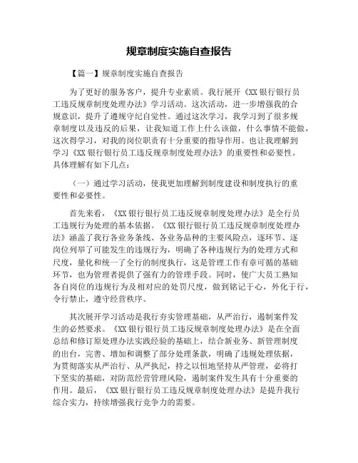规章制度实施自查报告