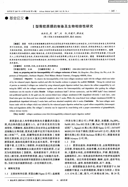 Ⅰ型骨胶原膜的制备及生物相容性研究
