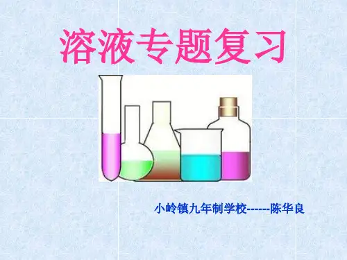 化学九年级人教版 课题2 溶解度 (共11张PPT)