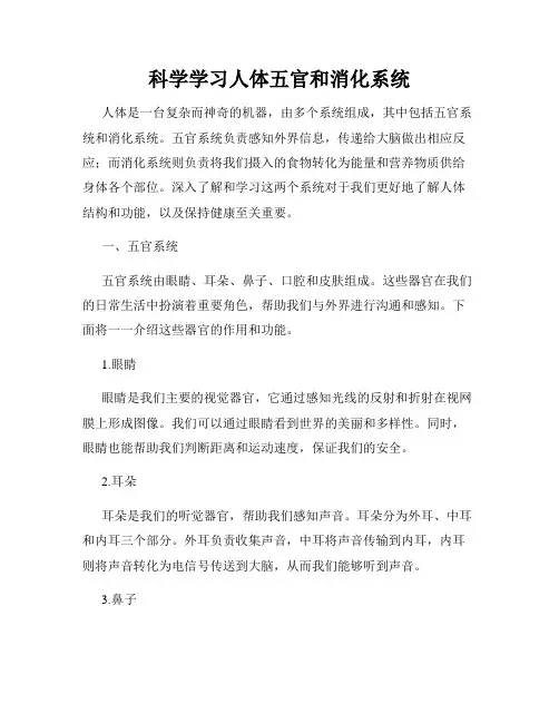 科学学习人体五官和消化系统