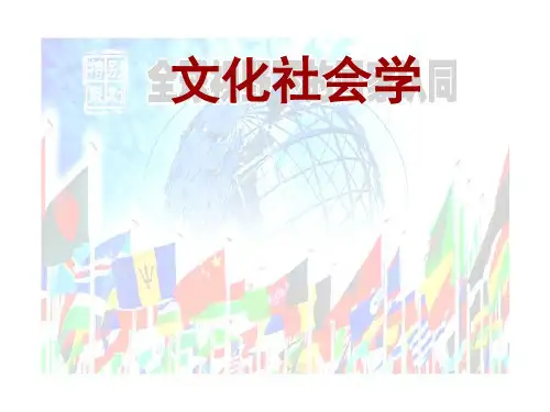 文化社会学ppt课件