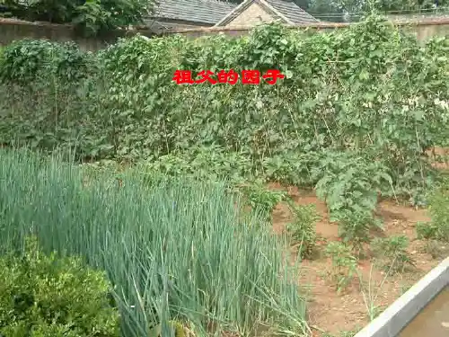 人教版五年级语文下册《祖父的园子》-课件PPT