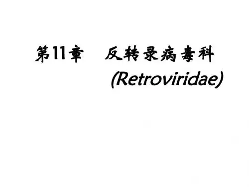 最新版病毒学精品电子教案第11-12章  反转录病毒及亚病毒