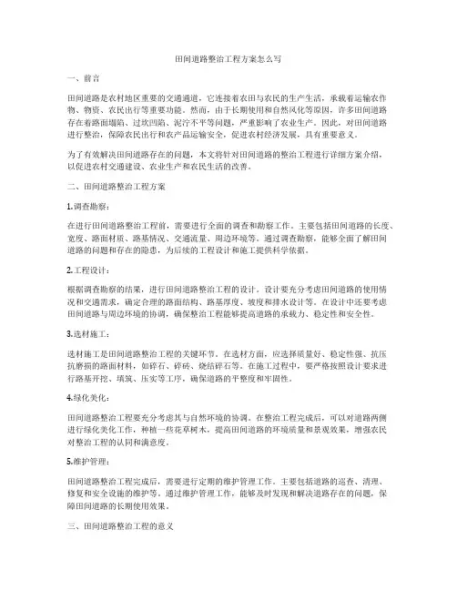 田间道路整治工程方案怎么写