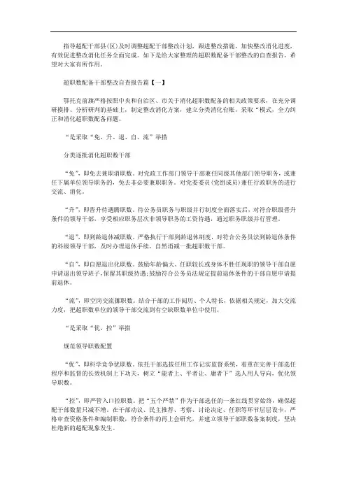 2020年超职数配备干部整改自查报告精选