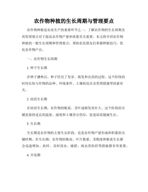 农作物种植的生长周期与管理要点