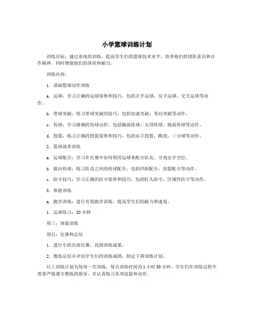 小学篮球训练计划