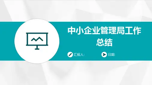 中小企业管理局工作总结