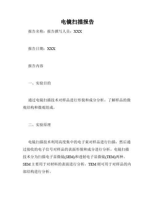 电镜扫描报告