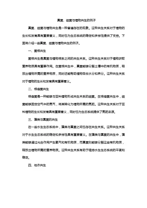 真菌、细菌与植物共生的例子