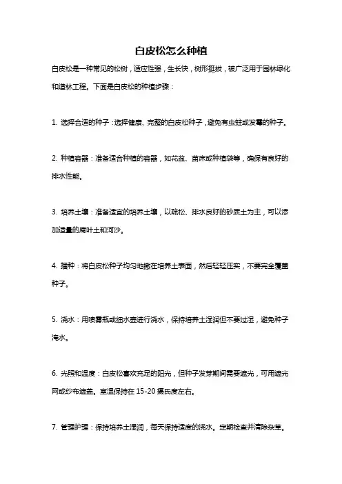 白皮松怎么种植