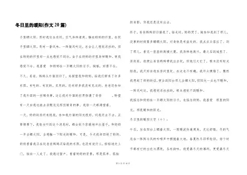 冬日里的暖阳(作文20篇)