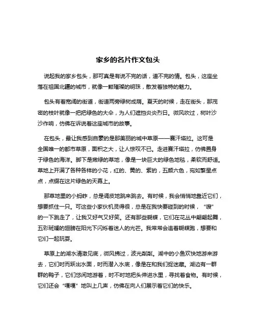 家乡的名片作文包头