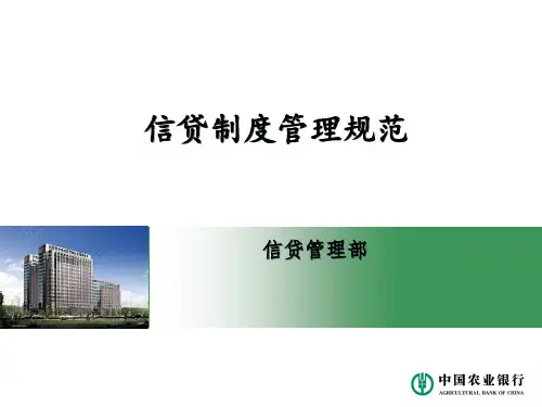 中国农业银行信贷制度管理规范