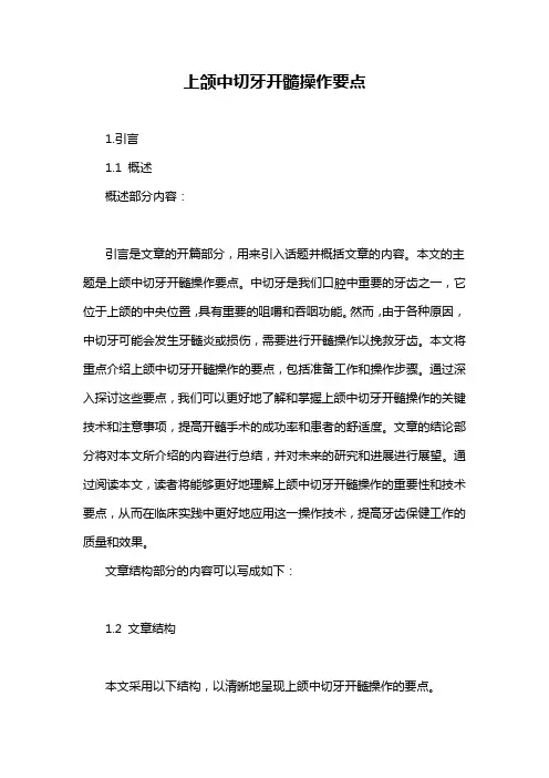 上颌中切牙开髓操作要点