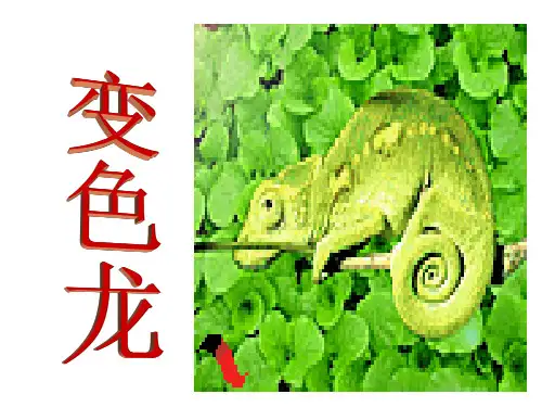 一年级美术_变色龙完整1ppt课件