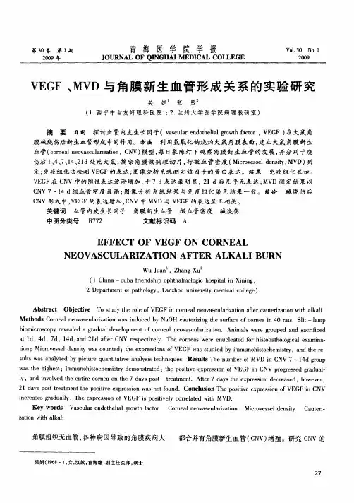 VEGF、MVD与角膜新生血管形成关系的实验研究