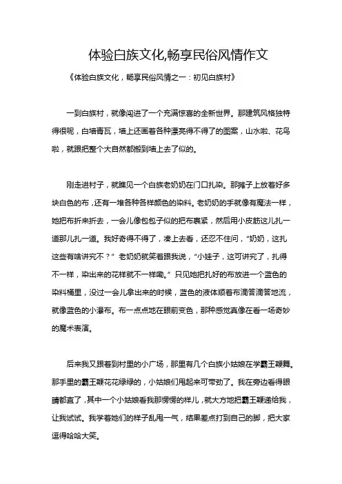 体验白族文化,畅享民俗风情作文