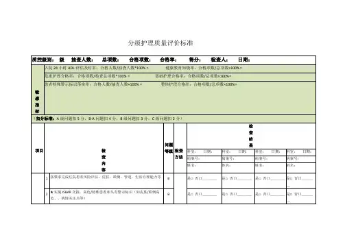 分级护理质量评价标准