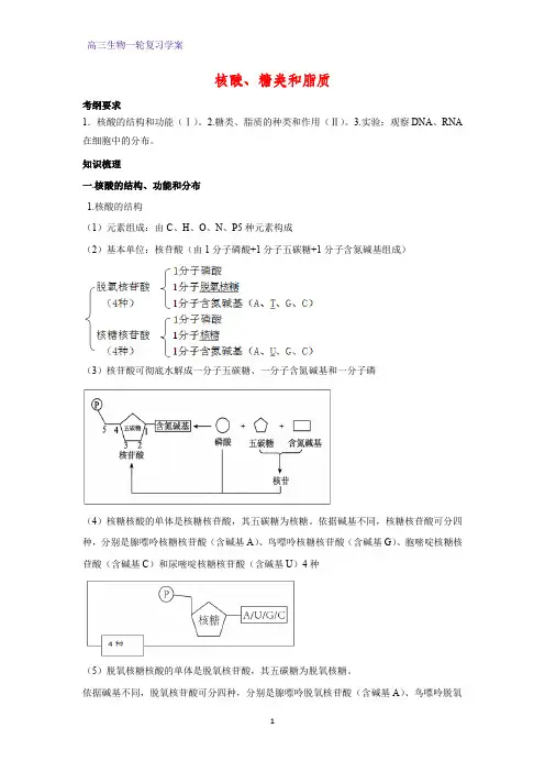 高三生物一轮复习精品学案8：核酸、糖类和脂质